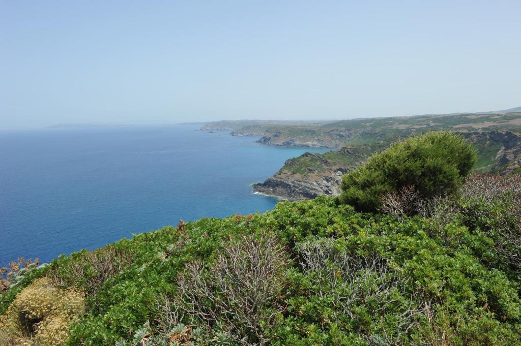 Agriturismo Finagliosu 帕拉马多拉 外观 照片