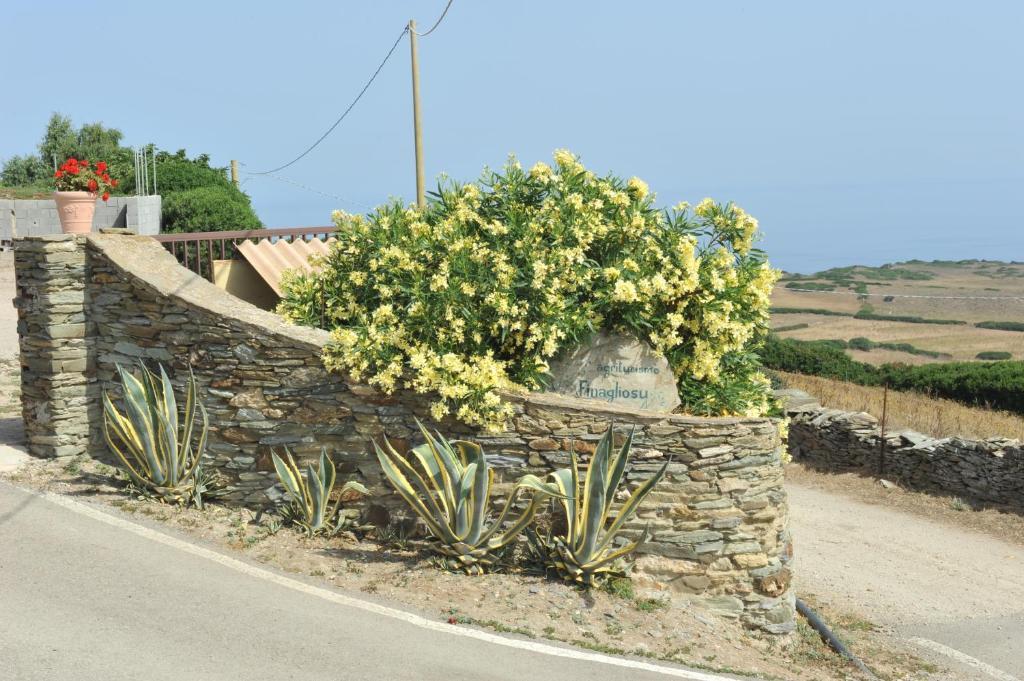 Agriturismo Finagliosu 帕拉马多拉 外观 照片